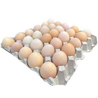 Eiers x 30
